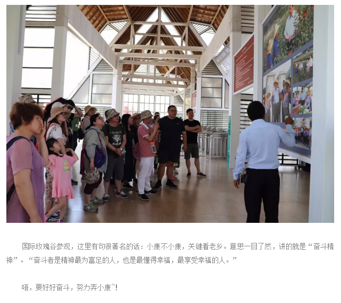 1522200215133957.jpg 爱在安正,爱在三亚_10.jpg